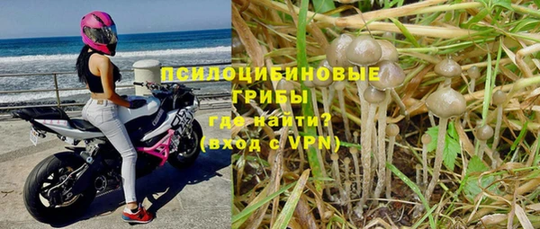 кокс Алексеевка