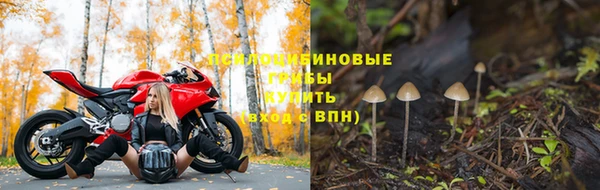 дживик Алзамай