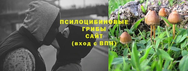 прущие крисы Алексин