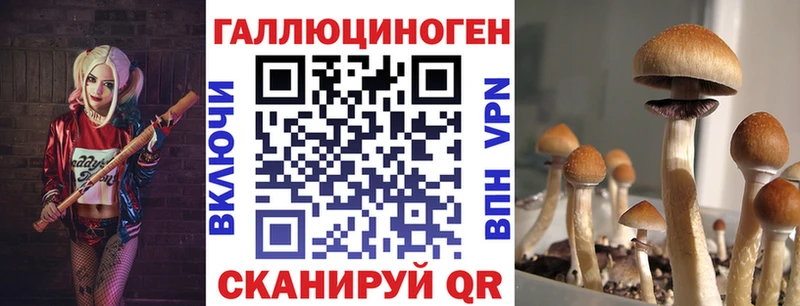 Галлюциногенные грибы мухоморы Венёв
