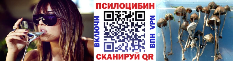 Галлюциногенные грибы ЛСД  ссылка на мегу сайт  Венёв  купить наркотик 